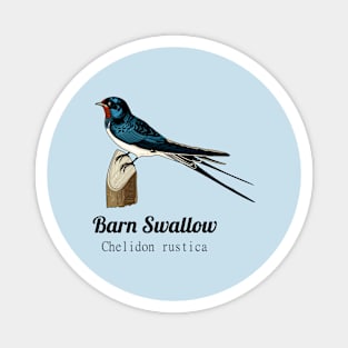 Barn Swallow Magnet